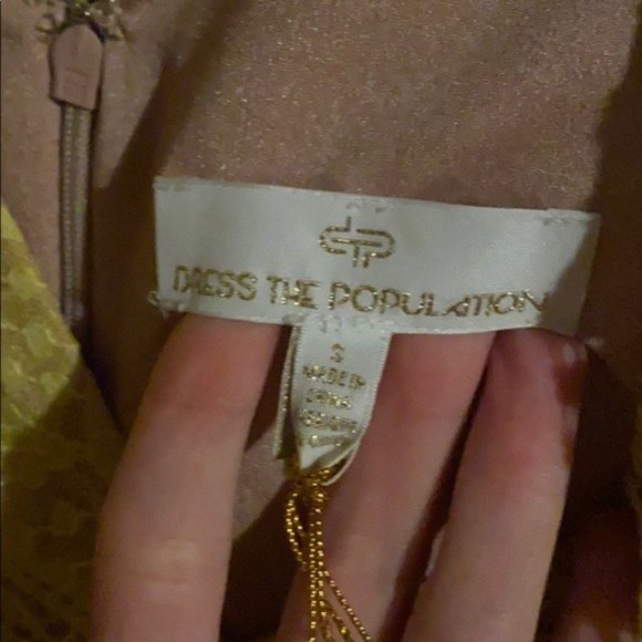 NWT Dress the Population Mia Angel Sleeve Dress - Picture 7 of 8